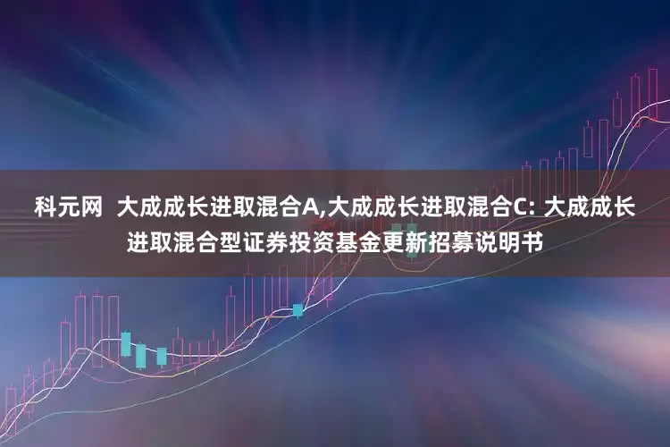 科元网  大成成长进取混合A,大成成长进取混合C: 大成成长进取混合型证券投资基金更新招募说明书