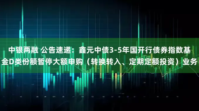 中银两融 公告速递：鑫元中债3-5年国开行债券指数基金D类份额暂停大额申购（转换转入、定期定额投资）业务