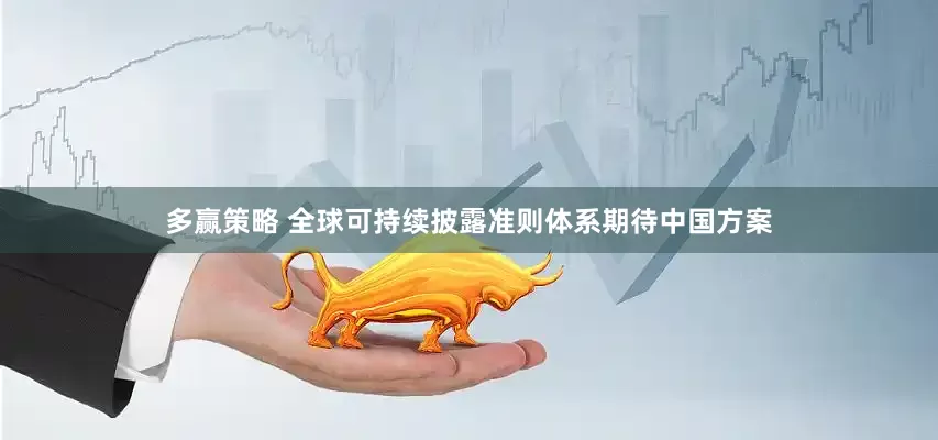 多赢策略 全球可持续披露准则体系期待中国方案
