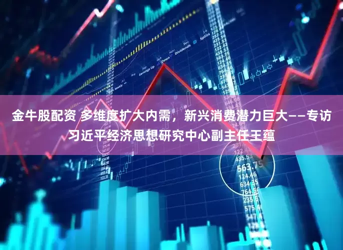 金牛股配资 多维度扩大内需，新兴消费潜力巨大——专访习近平经济思想研究中心副主任王蕴