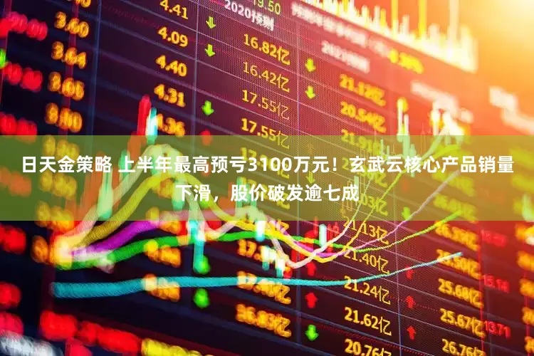 日天金策略 上半年最高预亏3100万元！玄武云核心产品销量下滑，股价破发逾七成