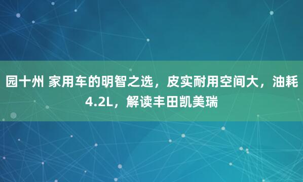 园十州 家用车的明智之选，皮实耐用空间大，油耗4.2L，解读丰田凯美瑞